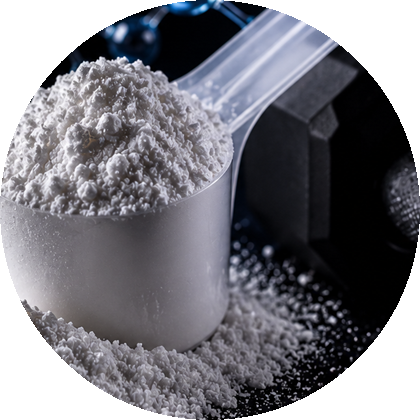 L-Carnitina